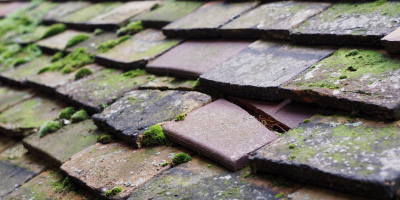 Southill roof repair costs